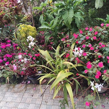 Soly'S Villa Homestay Munnar Exterior foto