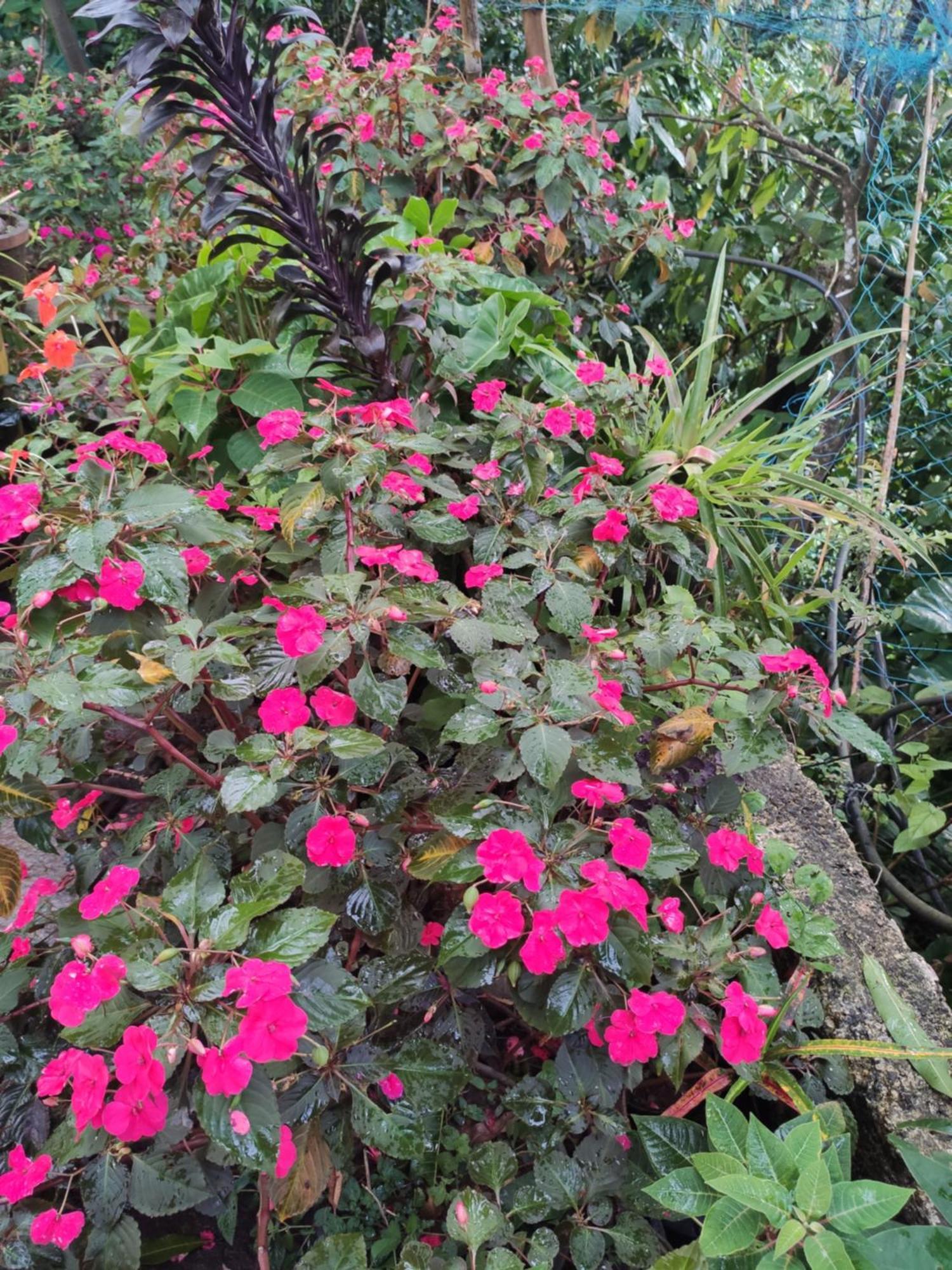 Soly'S Villa Homestay Munnar Zimmer foto